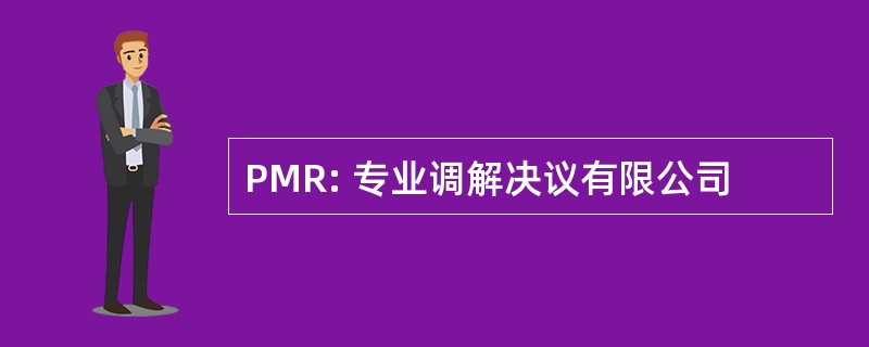 PMR: 专业调解决议有限公司