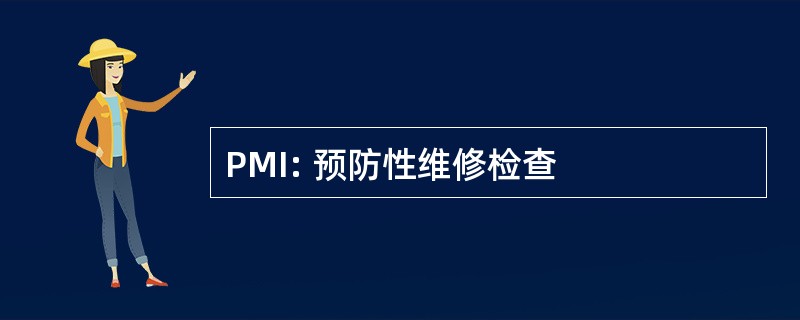 PMI: 预防性维修检查