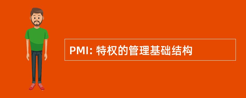 PMI: 特权的管理基础结构