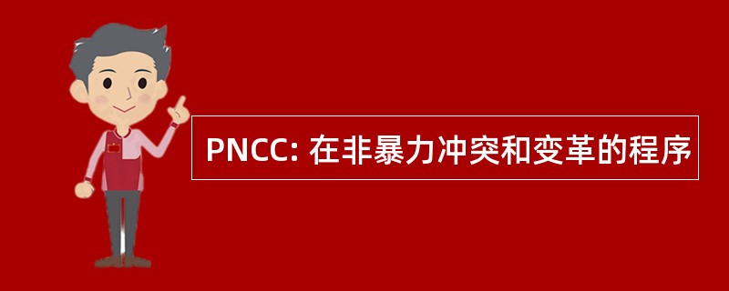 PNCC: 在非暴力冲突和变革的程序