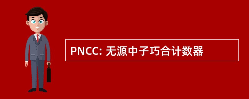 PNCC: 无源中子巧合计数器