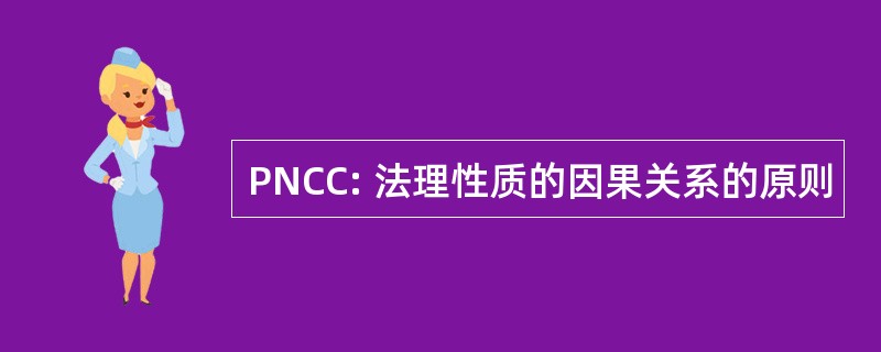 PNCC: 法理性质的因果关系的原则