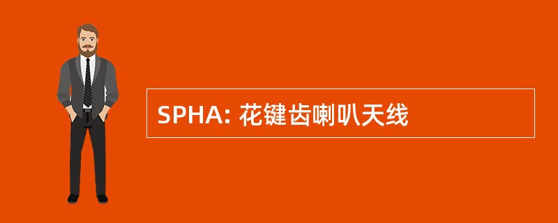 SPHA: 花键齿喇叭天线