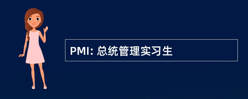 PMI: 总统管理实习生