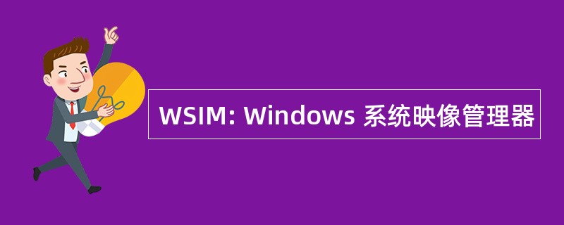 WSIM: Windows 系统映像管理器