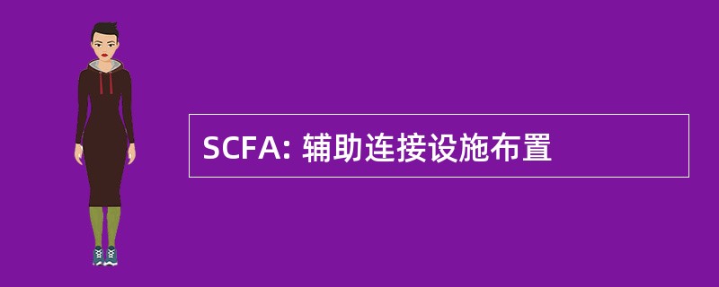 SCFA: 辅助连接设施布置