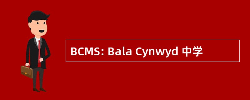 BCMS: Bala Cynwyd 中学