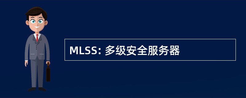 MLSS: 多级安全服务器