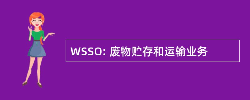 WSSO: 废物贮存和运输业务