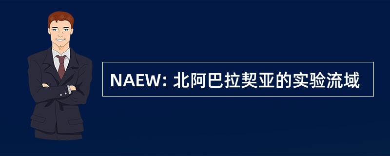 NAEW: 北阿巴拉契亚的实验流域