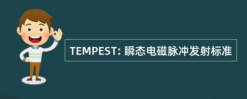 TEMPEST: 瞬态电磁脉冲发射标准