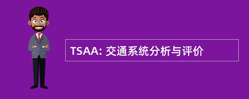 TSAA: 交通系统分析与评价