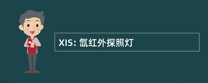 XIS: 氙红外探照灯