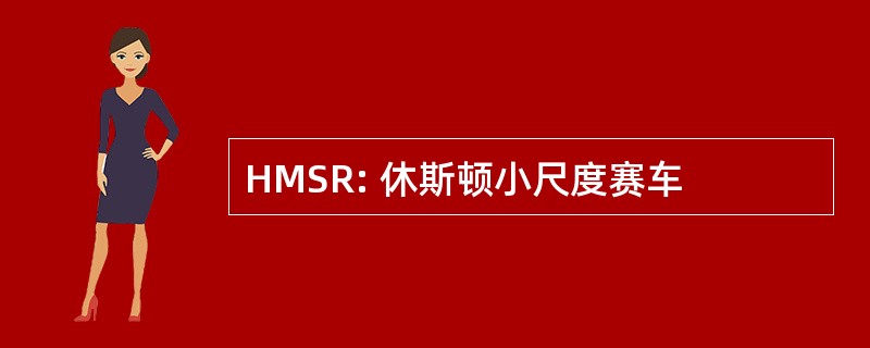 HMSR: 休斯顿小尺度赛车