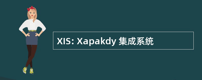 XIS: Xapakdy 集成系统