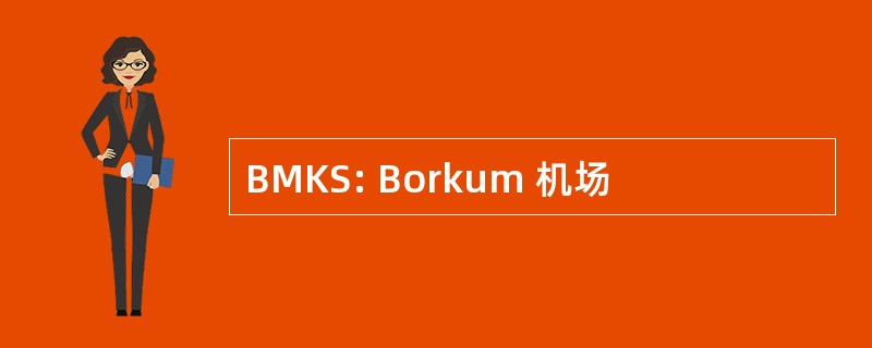 BMKS: Borkum 机场