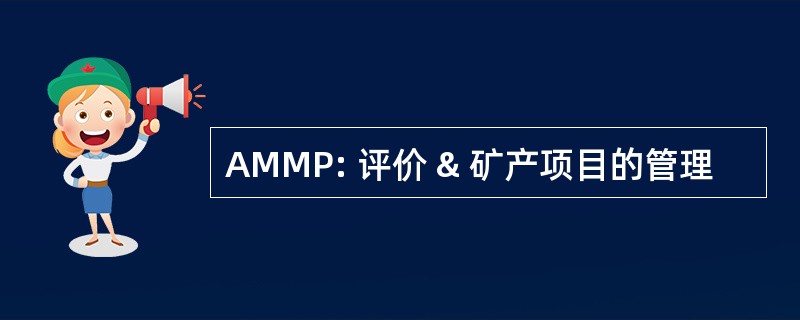 AMMP: 评价 & 矿产项目的管理