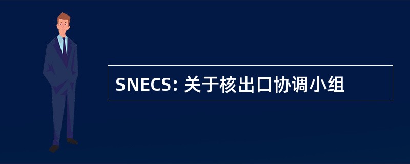 SNECS: 关于核出口协调小组