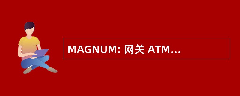 MAGNUM: 网关 ATM 多业务节点统一多路复用技术