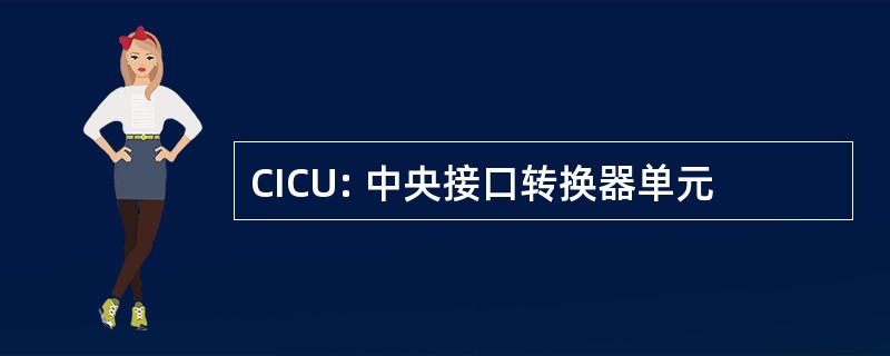 CICU: 中央接口转换器单元