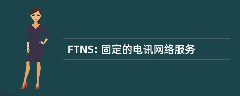 FTNS: 固定的电讯网络服务