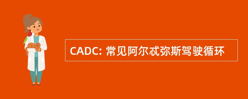 CADC: 常见阿尔忒弥斯驾驶循环