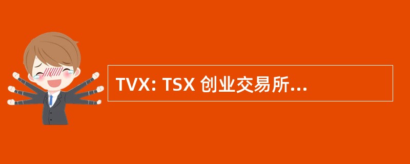 TVX: TSX 创业交易所 (加拿大股票市场)