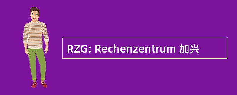 RZG: Rechenzentrum 加兴