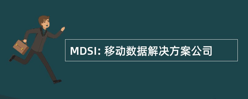 MDSI: 移动数据解决方案公司