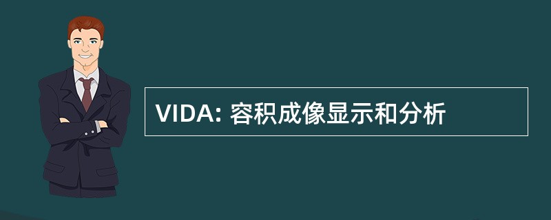 VIDA: 容积成像显示和分析