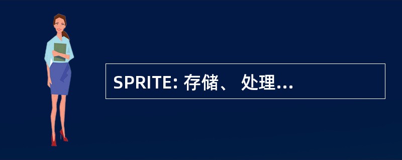 SPRITE: 存储、 处理和检索的技术环境中的信息