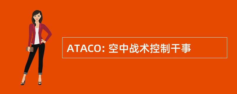 ATACO: 空中战术控制干事