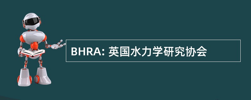 BHRA: 英国水力学研究协会