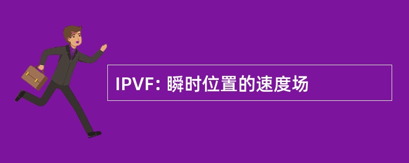 IPVF: 瞬时位置的速度场