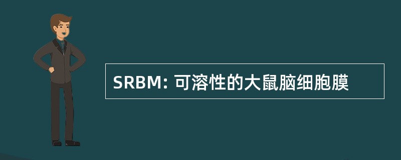 SRBM: 可溶性的大鼠脑细胞膜