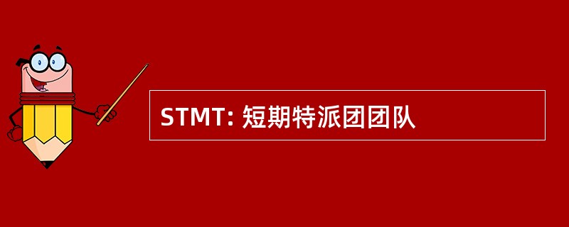 STMT: 短期特派团团队