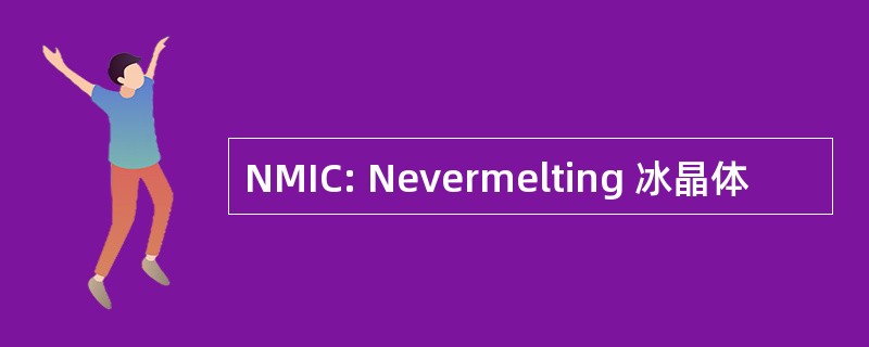 NMIC: Nevermelting 冰晶体