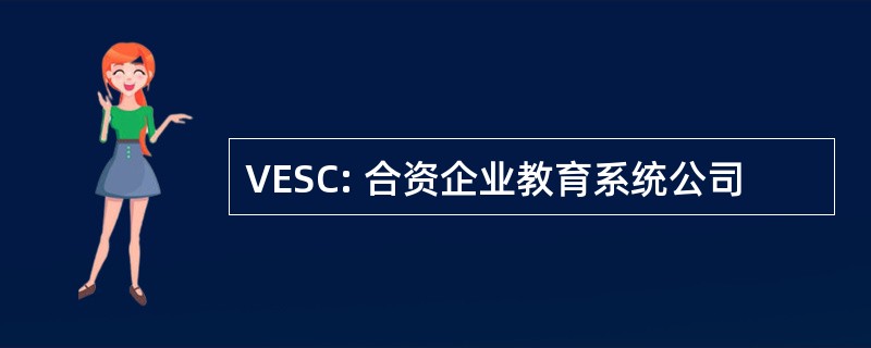 VESC: 合资企业教育系统公司