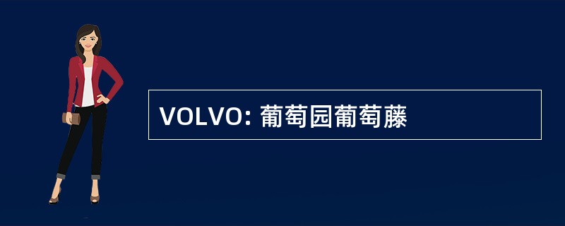 VOLVO: 葡萄园葡萄藤