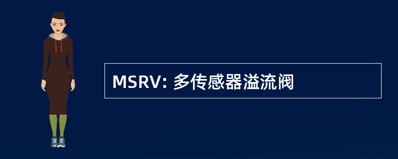 MSRV: 多传感器溢流阀