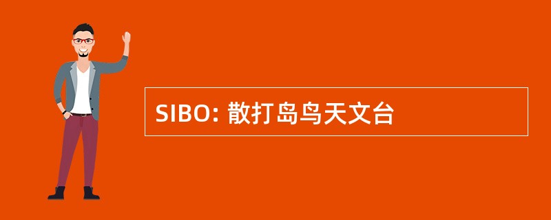 SIBO: 散打岛鸟天文台