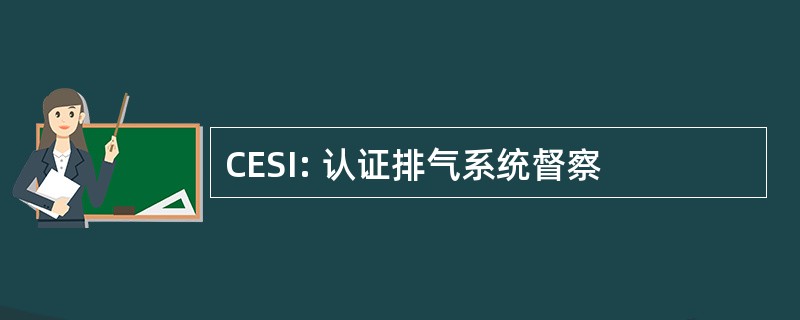 CESI: 认证排气系统督察