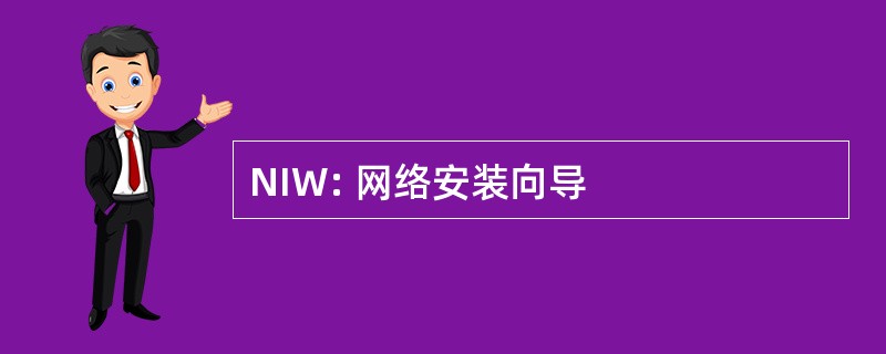 NIW: 网络安装向导