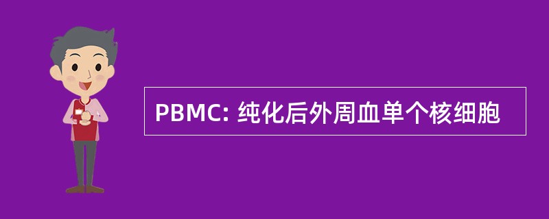 PBMC: 纯化后外周血单个核细胞