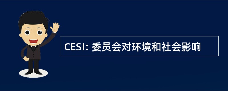 CESI: 委员会对环境和社会影响