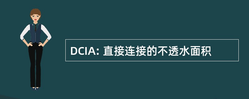 DCIA: 直接连接的不透水面积