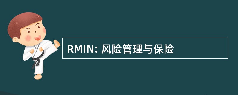 RMIN: 风险管理与保险