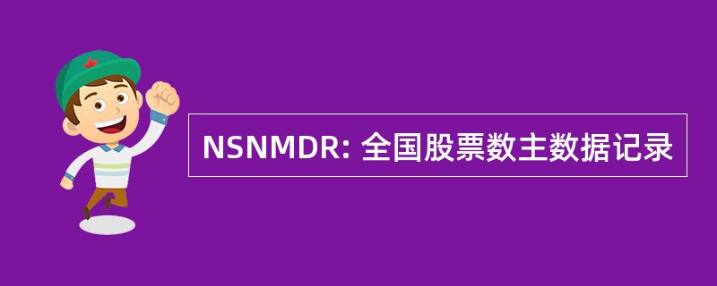 NSNMDR: 全国股票数主数据记录