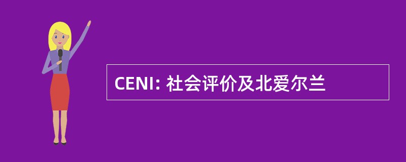 CENI: 社会评价及北爱尔兰