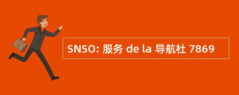 SNSO: 服务 de la 导航杜 7869